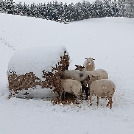Ubytovani Na Vejminku Rtyne v Podkrkonosi Exterior foto