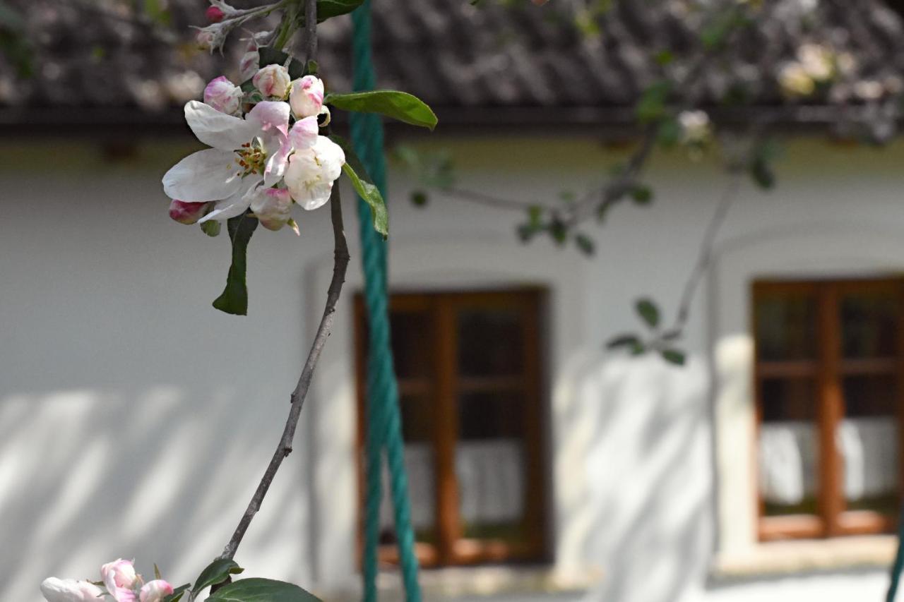 Ubytovani Na Vejminku Rtyne v Podkrkonosi Exterior foto
